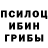 Псилоцибиновые грибы Magic Shrooms 56:46 Total