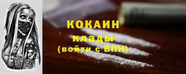 молекула духа Покров