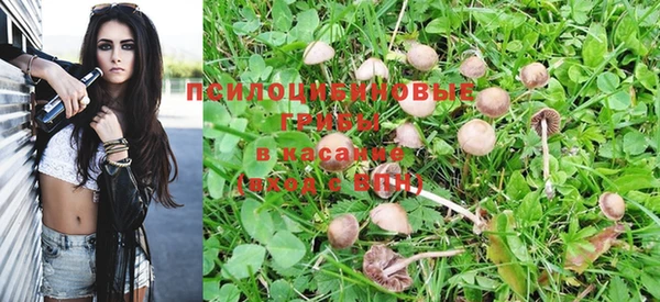 шишки Покровск