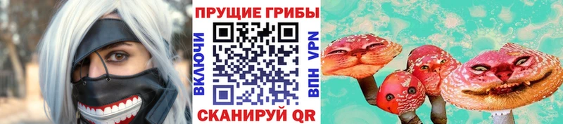 Псилоцибиновые грибы мицелий  Артёмовский 